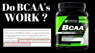 Do BCAA'S Really Work? Dr. Brad Schoenfeld