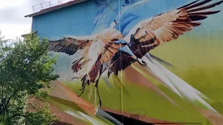 Доповнена реальність в AR murals