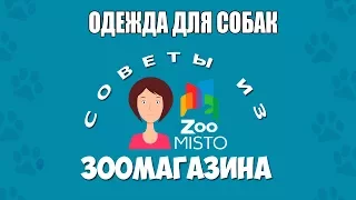 Одежда для собак | Нужна ли собакам одежда? | Одежда собачьего гардероба | Советы из зоомагазина