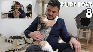 When you rescue a sick cat's life, it will show you what true love is. Cute cat hugs her savior.