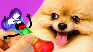 POP IT! Prankish Doodles VS Pets And People! Funny Adventures Of Little Doodles! - #Doodland 861