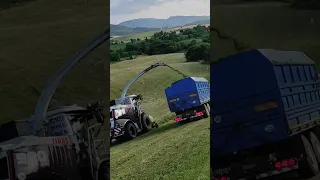 Claas Jaguar 980 BLACK & Tatra 815 Agro Senáže / Silage 2023