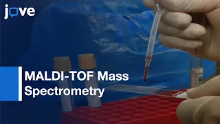 MALDI-TOF Mass Spectrometry to Identify Gram Negative Bacteria | Protocol Preview