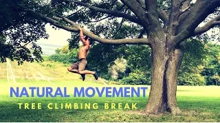 PRIMAL MOVEMENT Practice: Tree Climbing Break