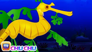 Leafy Sea Dragon Nursery Rhyme | ChuChuTV Sea World | Animal Songs & Nursery Rhymes For Children