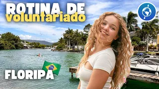 Minha rotina de voluntariado Worldpackers em Florianópolis