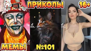 16 МИНУТ СМЕХА ДО СЛЁЗ | ЛУЧШИЕ ПРИКОЛЫ | ВЗРОСЛЫЙ ЮМОР l TikTok УГАР l #101