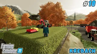 Covering silo bunker with 500K grass chaff, sowing barley | Krebach | Farming simulator 22 | ep #10