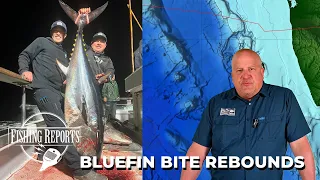 Southern California Bight FISHING REPORT 06/062024