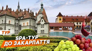 SPA-тур до Закарпаття | Термальні води Жайворонок, палац графів Шенборнів, Шато Чизай та Косино