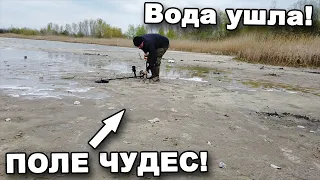 Поле ЧУДЕС под ВОДОЙ!  В поисках сокровищ / In search of treasures