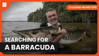 Hunting Barracuda - Chasing Monsters - Fishing Show