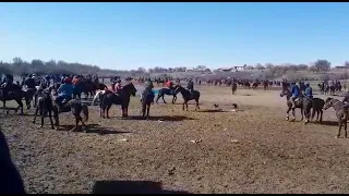 Ебо палуан Саду мырзанын шырам атты тұлпарымен