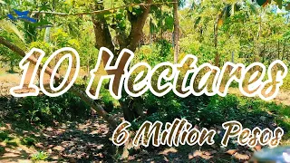 VLOG#111 | 10 Hectares | 60 Per Square Meter | 6 Million Pesos | Along Brgy. Road | With Over View |