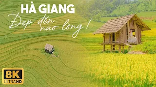 HA GIANG LOOP 3 Day $100 🇻🇳 Most Beautiful Land in Vietnam | MUST VISIT 2023 | Driving 4K