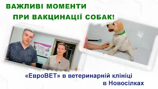 Основи вакцинації собак / Основы вакцинации собак / Basics of dog vaccination