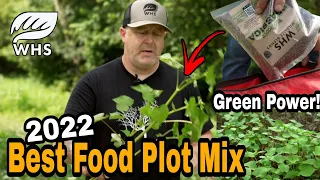 2022 Best Food Plot Mix