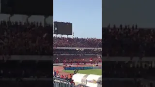 تصفيقة الفايكنج ألتراس تيحا بويز Ultras Teha Boys