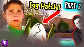 MYSTERY NEST Hatch! Game TRIXSTER Mystery Message Adventure by HobbyKidsTV