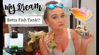 MY DREAM BETTA FISH TANK! | ItsAnnaLouise