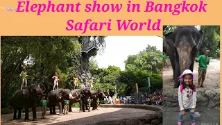 Safari world Elephant Show Bangkok (Elephant Drawing) our Tour Day 4