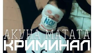 АКУНА МАТАТА-КримиНал