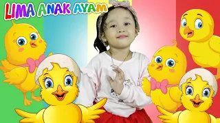 LAGU LIMA ANAK AYAM KECIL | Five Little Chicks | LAGU ANAK INDONESIA POPULER