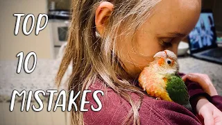 TOP 10 MISTAKES WITH CONURES! (Feat. CG Teen!)