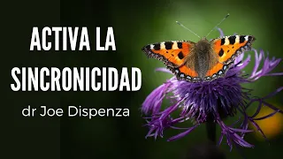 Meditacion ACTIVA LA SINCRONICIDAD dr. Joe dispneza🌻