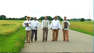 Daumantų Muzikantai - Balti gandrai