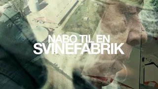 NABO TIL EN SVINEFABRIK