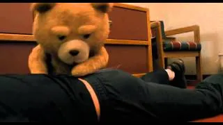 Teddy Bear Fighting