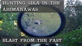 Hunting Sika in the Ahimanawas - Lower Ohane Blast from the past!