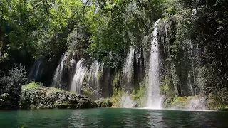 Relaxing Nature Sounds for Sleeping - Natural Calm Forest Waterfall Music Meditation Sound for Study