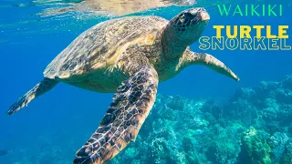 BEST EXCURSION In HAWAII? | Waikiki Beach Turtle Snorkel 🏄🏼‍♂️ MANAKAI CATAMARAN