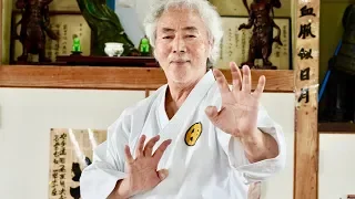 Dangerous skills of Okinawa Karate Master!