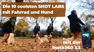 Insta360 Shot Labs X3 - Die 10 coolsten ShotLabs mit Fahrrad und Hund