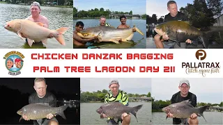 The Overrated Anglers Thailand, Palm Tree Lagoon Sunday 19th November 023 - Danzak solo trip part.2