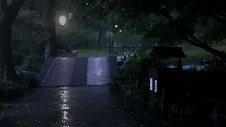 ASMR of the calm rain falling on the side of the park late at night | Rain Sounds For Sleeping