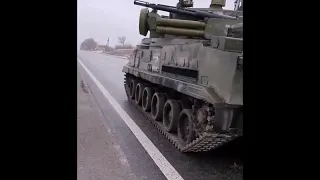 Russian Tunguska M1 „Z” Symbol Abandoned Near Kharkiv Outskirts