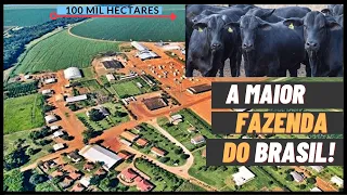 FAZENDA RONCADOR A MAIOR FAZENDA DO BRASIL (2023)