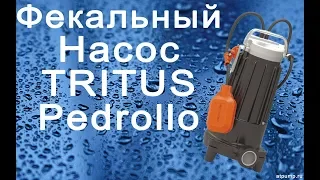 Фекальный насос Pedrollo TRITUS с режущем колесом