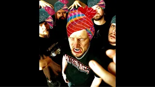 Meshuggah- Bleed( PUNJABI BHANGRA MASHUP REMIX )