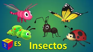 Aprendemos los insectos y escuchamos sus sonidos. Dibujo animado para niños en español.