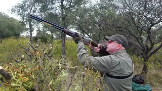 Argentina Dove Hunting May 26, 2022