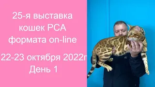 25-я выставка кошек PCA on-line 22-23.10.2022г. День 1