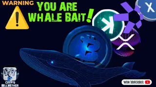 Whales are Manipulating you unless you know this - Outsmart the Whales #cryptonewstoday