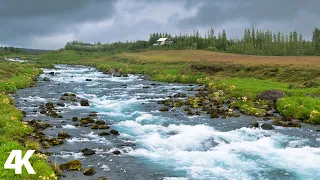 الطبيعة الساحره  صوت الانهار ، صوت المطر  والطيور لتهدئة الاعصاب |  Relaxing Nature Sounds 4k