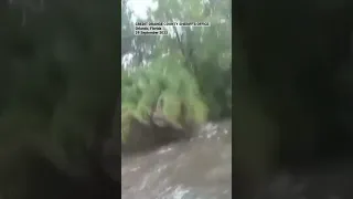 MOMENT Florida Police rescued a woman stranded after her car swept away by rising floodwaters