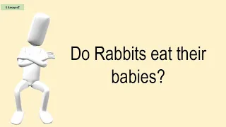 Do Rabbits Eat Their Babies?